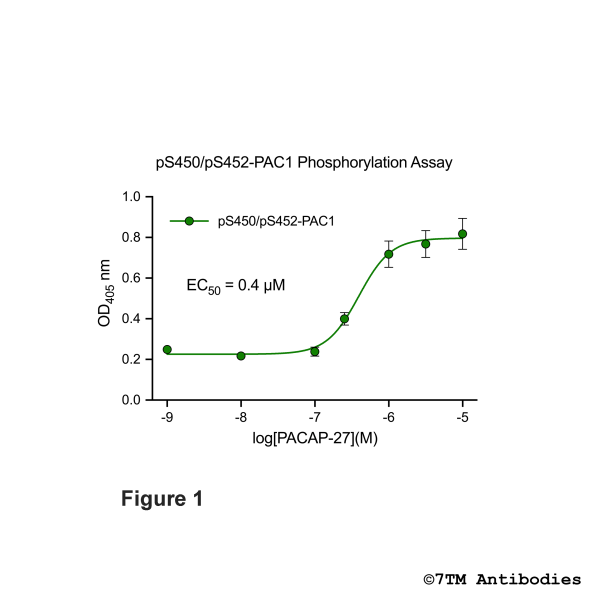 OD signals in pS450/pS452-PAC1 Phosphorylation Assay