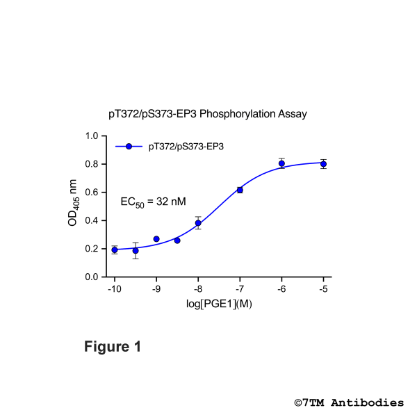 pT372/pS373-EP3 Phosphorylation Assay Kit